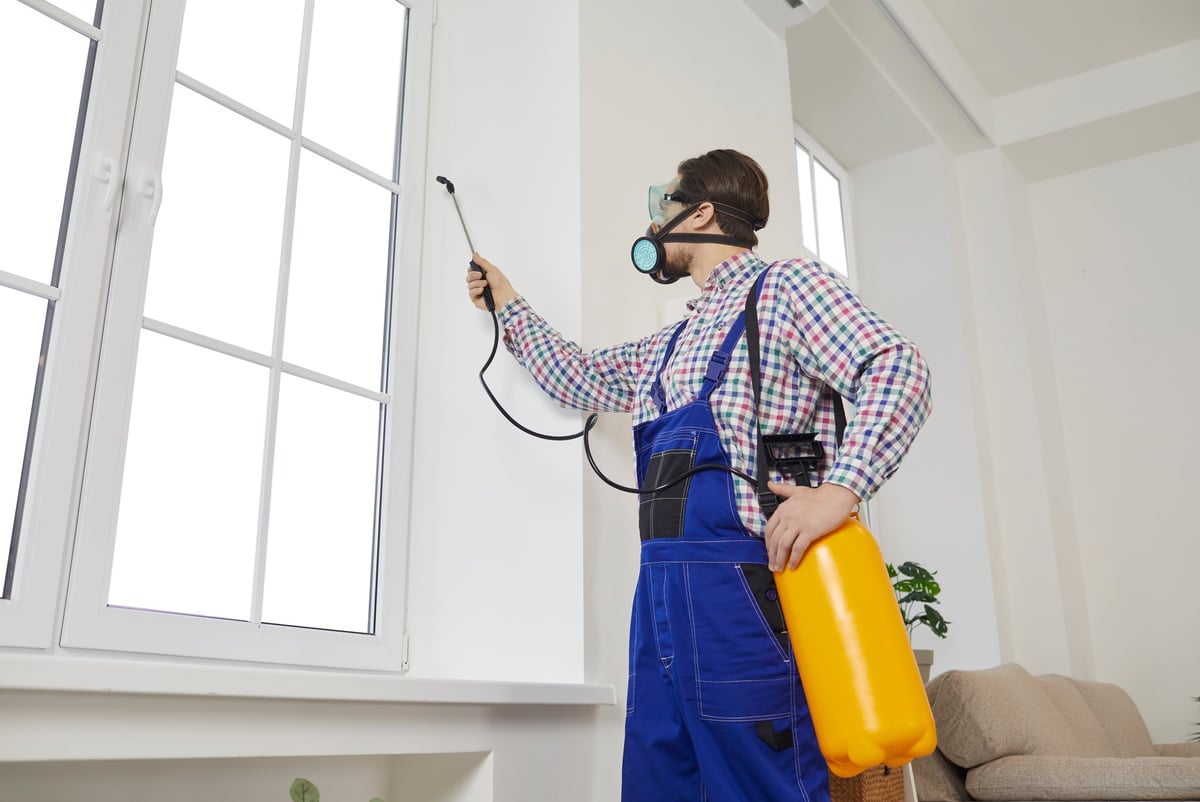 Pestora bestrijder behandelt een woning professioneel